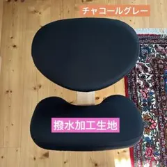 撥水加工生地 バランスチェアカバー バランスイージーカバー