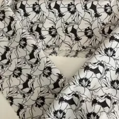 Item thumbnail for item 8558f673-a65c-4ff0-ab4f-adb5675f2361