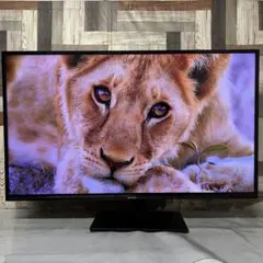 2026年最新】SUNRISE 液晶テレビの人気アイテム - メルカリ