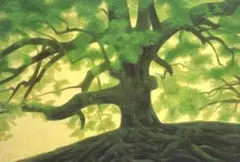 m*i様 風景画◇水辺◇新品 美品【水性絵具/アクリル/色鉛筆】◇防水
