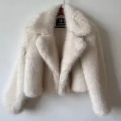 Item thumbnail for item c0dd197a-a42d-4db1-baa0-c5071a0e8908