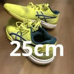 ASICS ローテJapan バレーボールシューズ 25.0cm