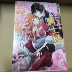 赤ずきんと迷いの森公式ビジュアルファンブック : 真実の扉 - メルカリ
