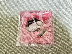 新品 サンリオ Solid&Cool マルチケース こぎみゅん カラビナ付き