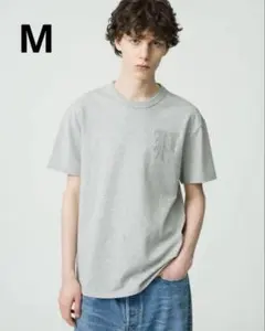 ロンハーマン x ポロ ラルフローレンTシャツ M グレー