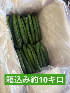 tatsumin様専用】訳ありきゅうり 福島県産 20kg - メルカリ