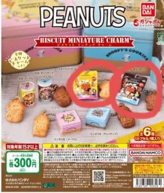 PEANUTS ビスケットミニチュアチャーム　スタンドパック2個セット