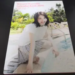 浜辺美波2019カレンダーブック　写真集付プレミアム版