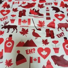 コストコ エコバッグ カナダ