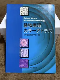 動物病理カラーアトラス 第2版 動物病理 カラーアトラス 第2版 / 日本獣医病理学専門家協会 〔本