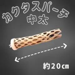 tokotoko　止まり木　カクタス　パーチ　中太No.134,135 2026年最新】カクタスパーチの人気アイテム - メルカリ