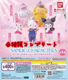 サンリオキャラクターズ ミニチュアチャーム 5種セット