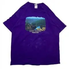 00s- ギルダン 風景画 アートTシャツ 半袖 メンズ XL パープル