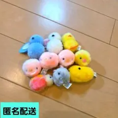 カピバラ　ひよこ　ウサギ 亀　豚　10種セット