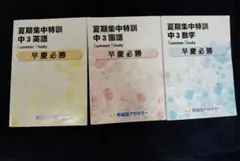 2026年最新】早稲アカ 特訓の人気アイテム - メルカリ