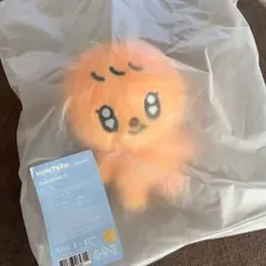 SEVENTEEN MINITEEN プギュリ ぬいぐるみ プラッシュトイ SEVENTEEN MINITEEN プギュリ ぬいぐるみ プラッシュトイ - メルカリ