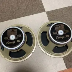 2026年最新】celestion vintage30の人気アイテム - メルカリ