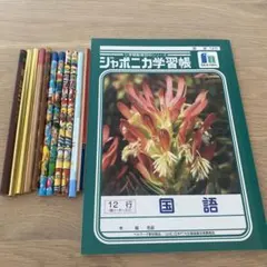 ジャポニカ学習帳　鉛筆セット