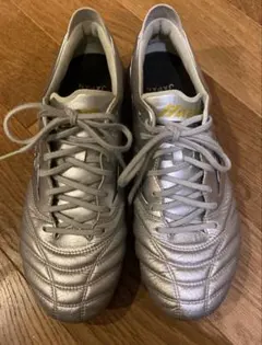 2025年最新】モレリアネオ4 24.5の人気アイテム - メルカリ