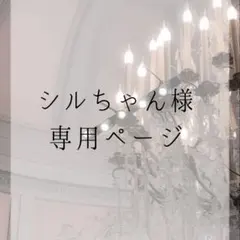 シルちゃん様 専用ページ
