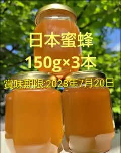 日本蜜蜂 生蜂蜜 ミツバチ 国産純粋はちみつ 非加熱 #3 宮城県産のサムネイル