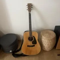 Collings Guitars D2HVarnish 型番：#22096 - メルカリ