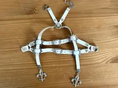 Item thumbnail for item 510c257e-da49-4262-9c86-69b578fa11e1