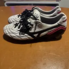 2026年最新】モレリアウェーブ 26.5の人気アイテム - メルカリ