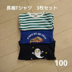 100サイズ　長袖Tシャツ　3枚セット　プティマイン　ユニクロ　フタフタ