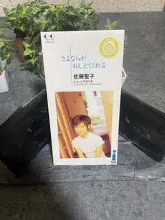 さよならが おしえてくれる 佐藤聖子