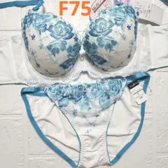 【新品未使用】格安！ブラショーツセット F75 2182 白×青 脇高 綺麗