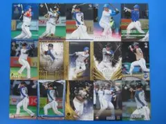 北海道日本ハムファイターズ スポーツカード