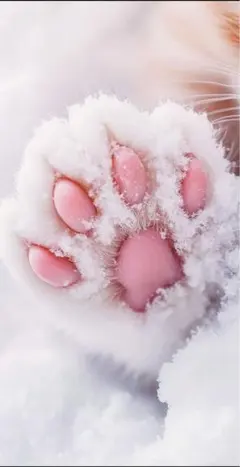 【専用】