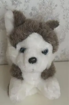 Item thumbnail for item cf69a3e1-5e0d-430c-b565-b926453f44f4