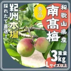 紀州南高梅 Lサイズ以上 約5kg 農家直送【和歌山産】6/1頃より順次発送