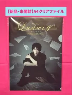 2026年最新】ルードヴィヒ 中村倫也の人気アイテム - メルカリ