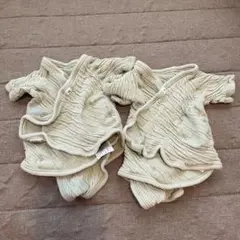 Item thumbnail for item fa58119f-2bc3-4c7c-9138-5f3aadd2a6bd