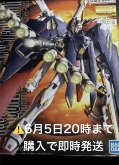 2026年最新】MG 1/100 クロスボーンガンダムX-1フルクロスの人気