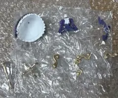 アイカツ カプセルトルソー ゴスマジックコーデ レア