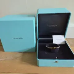 2026年最新】ティファニーT ナロー ワイヤー ブレスレットの人気