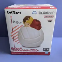 ハイキュー!!すやすやルームライト-孤爪研磨-