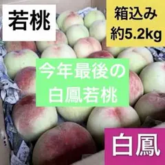 2026年最新】若桃の人気アイテム - メルカリ