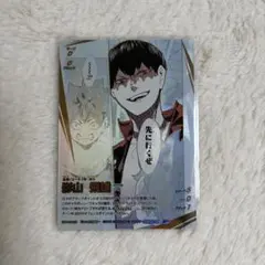ハイキュー バボカ BREAK ユース&選抜強化合宿 頂P 影山飛雄 - メルカリ