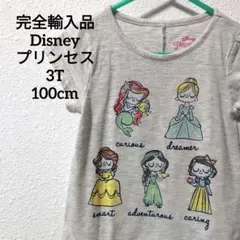 美品完全輸入品 Disneyディズニープリンセス 子供服 3T/100cm