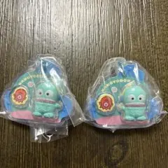 サンリオキャラクターズ　パッケージチャーム＆チョコボーロ　ハンギョドン2点セット