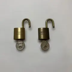 Item thumbnail for item 687c2ad9-0de2-4011-930b-8244d660c96d