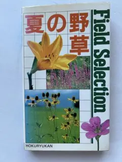 Field Selection 夏の野草