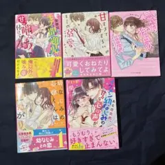 野いちご文庫５冊まとめ売り　値下げしました‼️
