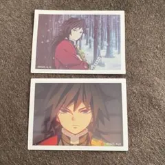 鬼滅の刃 立志編 第一章～ありがとう～チェキ風ブロマイド【冨岡義勇