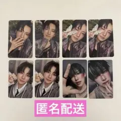 &TEAM YUMA ユウマ トレカ